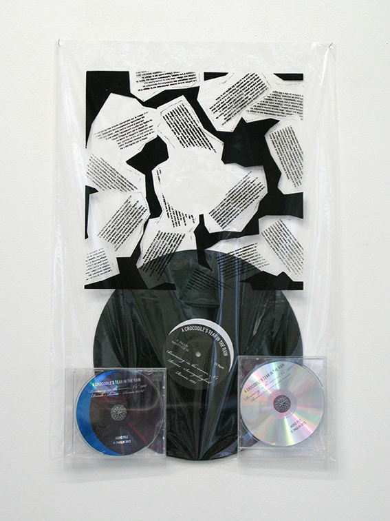 , 2013, Vinyl, compact disc and silskscreened plastic bag, 60 x 40 cm, Edition of 3  + 1 AP